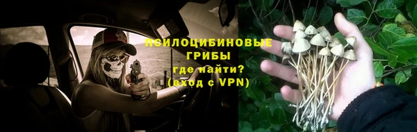 твердый Карталы