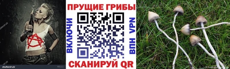 Купить где  Ленск  Псилоцибиновые грибы мухоморы 